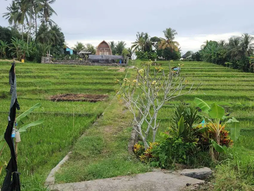 Investasi Menarik Tanah Eksotis View Laut di Bali
