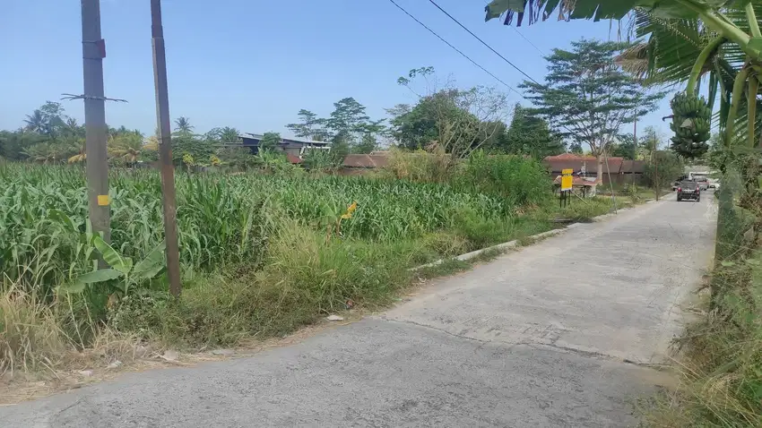 Tanah Sawah Luas 2440 Meter persegi Lokasi Dekat Kopi Klotok Pakem Sle