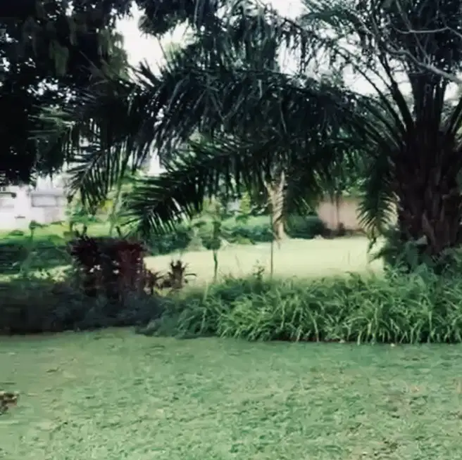 Kaveling Taman Golf Karawaci, Jarang Ada