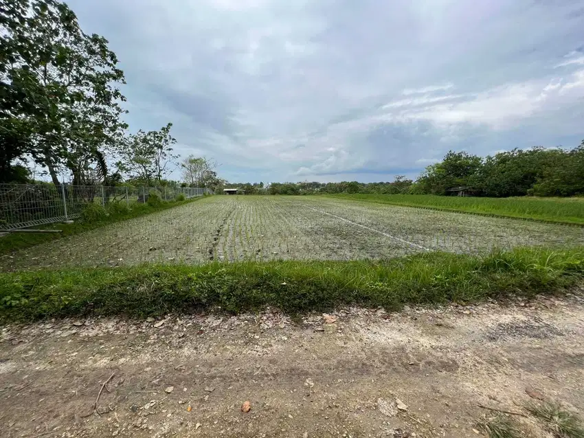 dijual tanah komersil view laut lokasi nyanyi