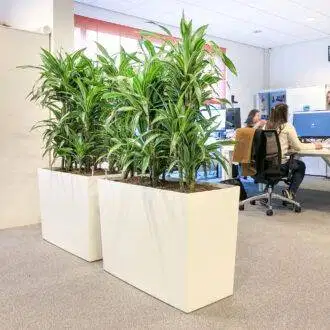 pot terrazzo planter panjang dekorasi taman