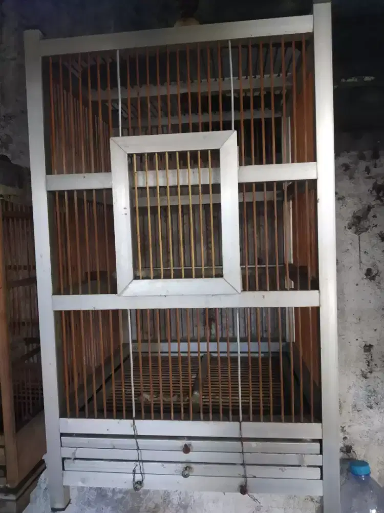 Sangkar burung kenari