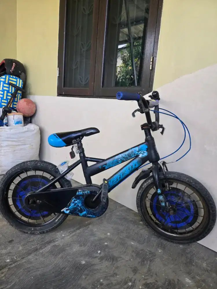 sepeda anak PACIFIC ELEMENT