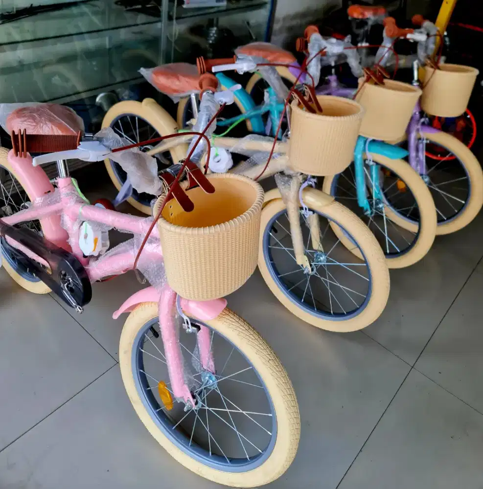 Sepeda Anak CTB 18 Inch CENTRUM ( TYPE TERBARU )