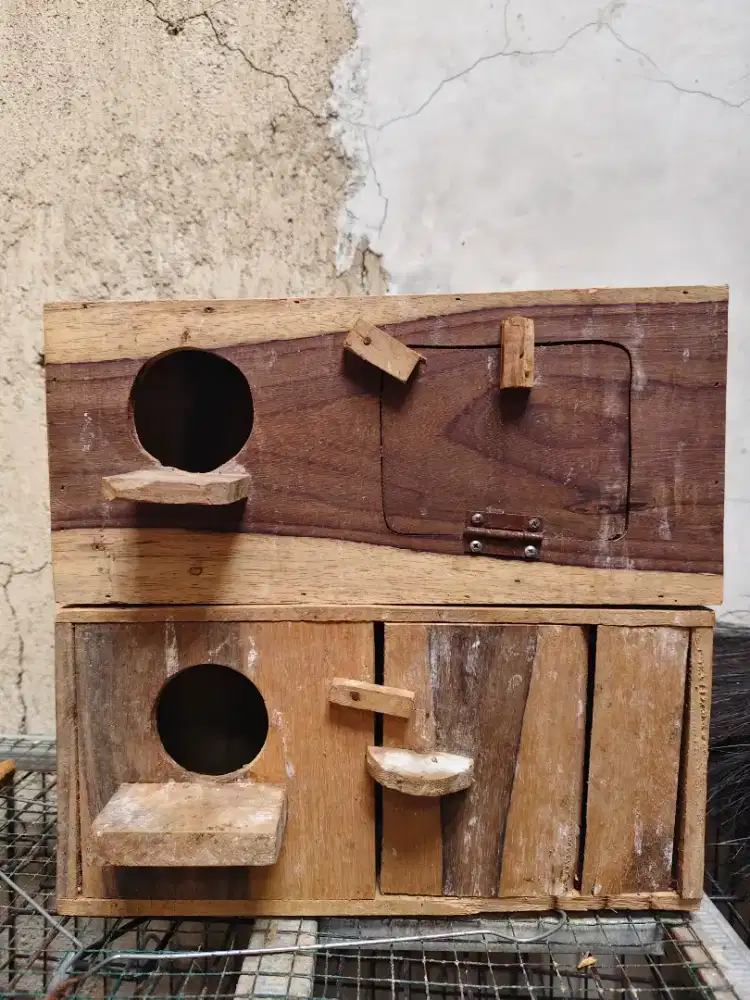 Glodog Sangkar Kapsul