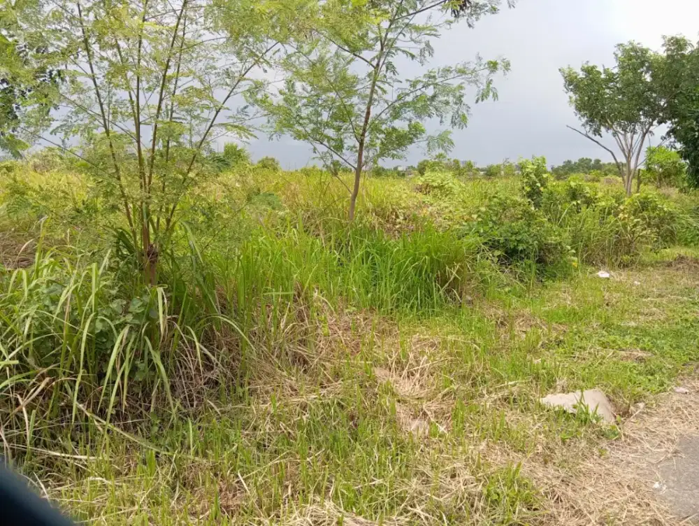 Jual tanah kavling kawasan deltamas