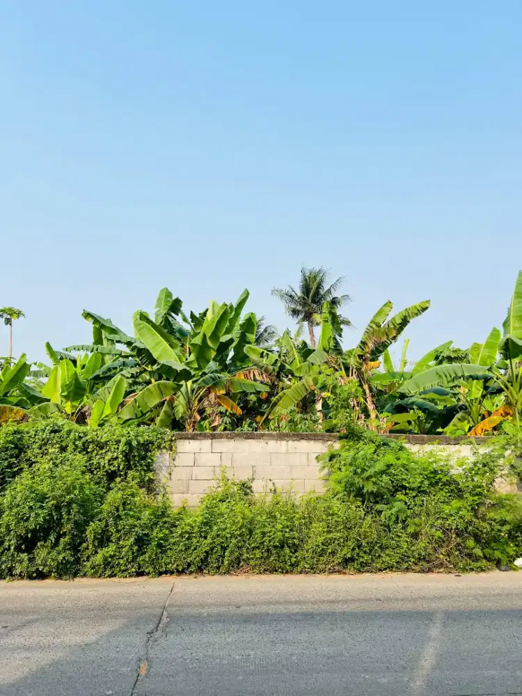 Murah Kavling di Tangerang