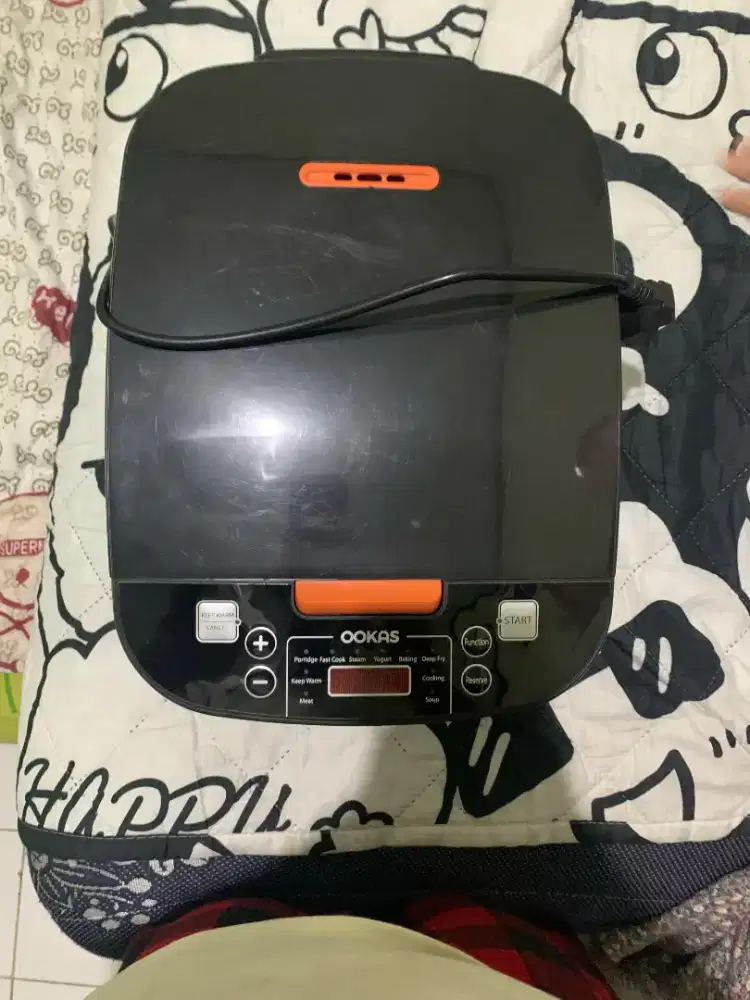 Stainless Rice Cooker