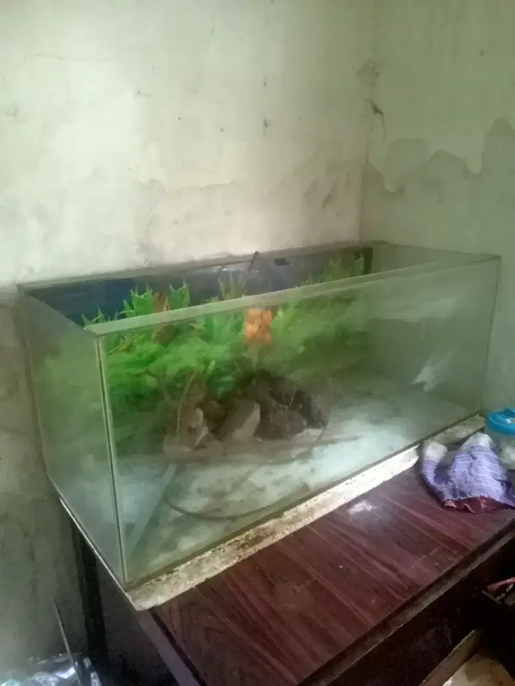 Jual Aquarium 1Mx50cmx50cm