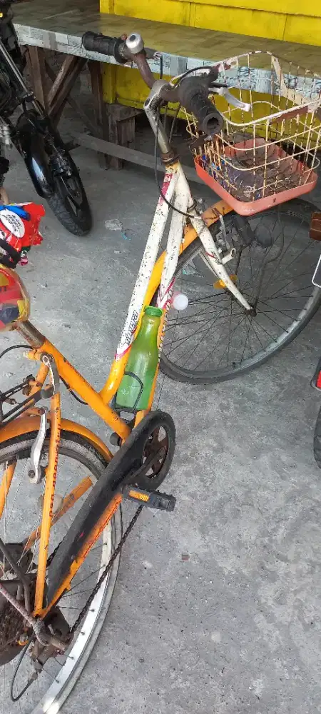 Polygon Siera Oranye 26