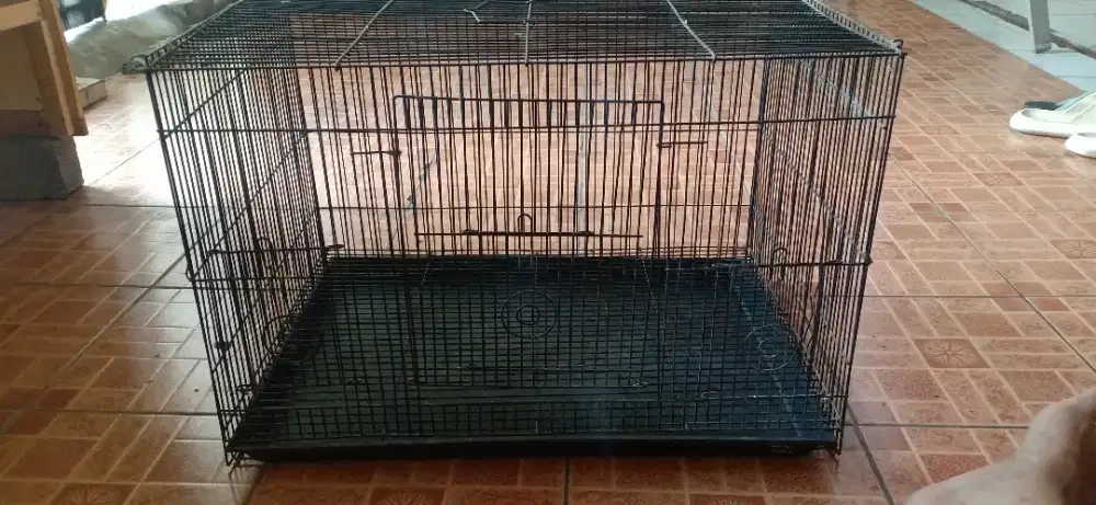 Jual kandang burung dan kucing