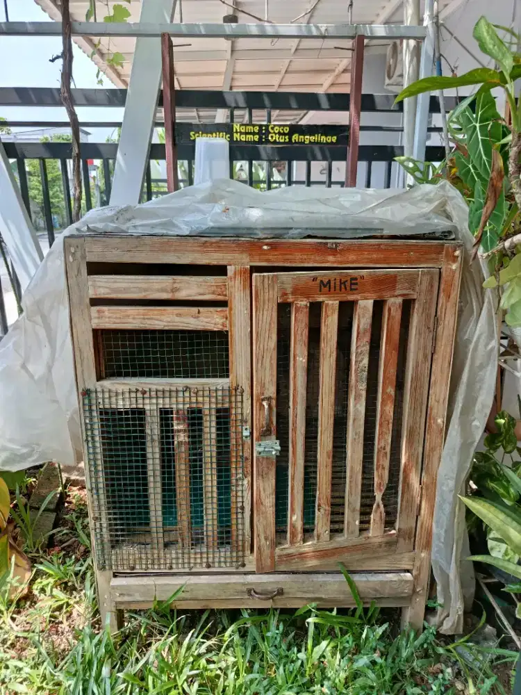 Kandang Kucing ayam