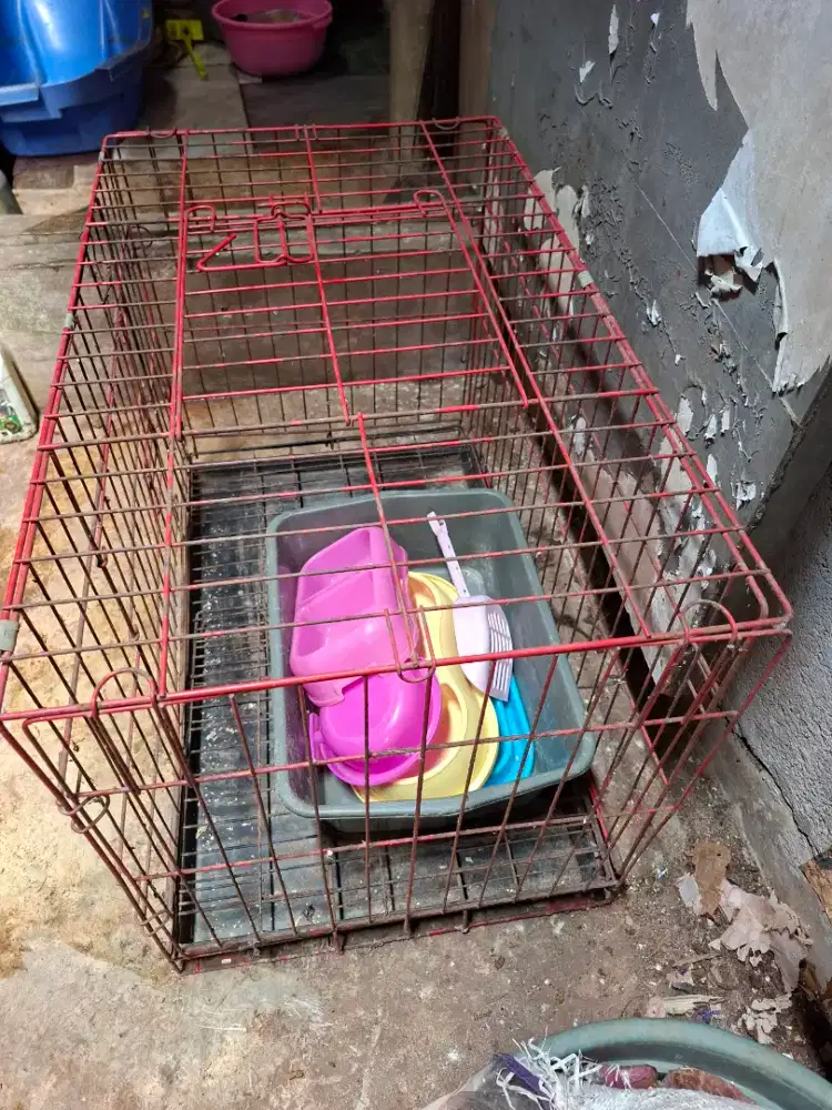 Kandang kucing dan perlengkapannya