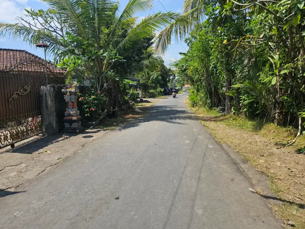 Tanah sawah dalam kota singaraja