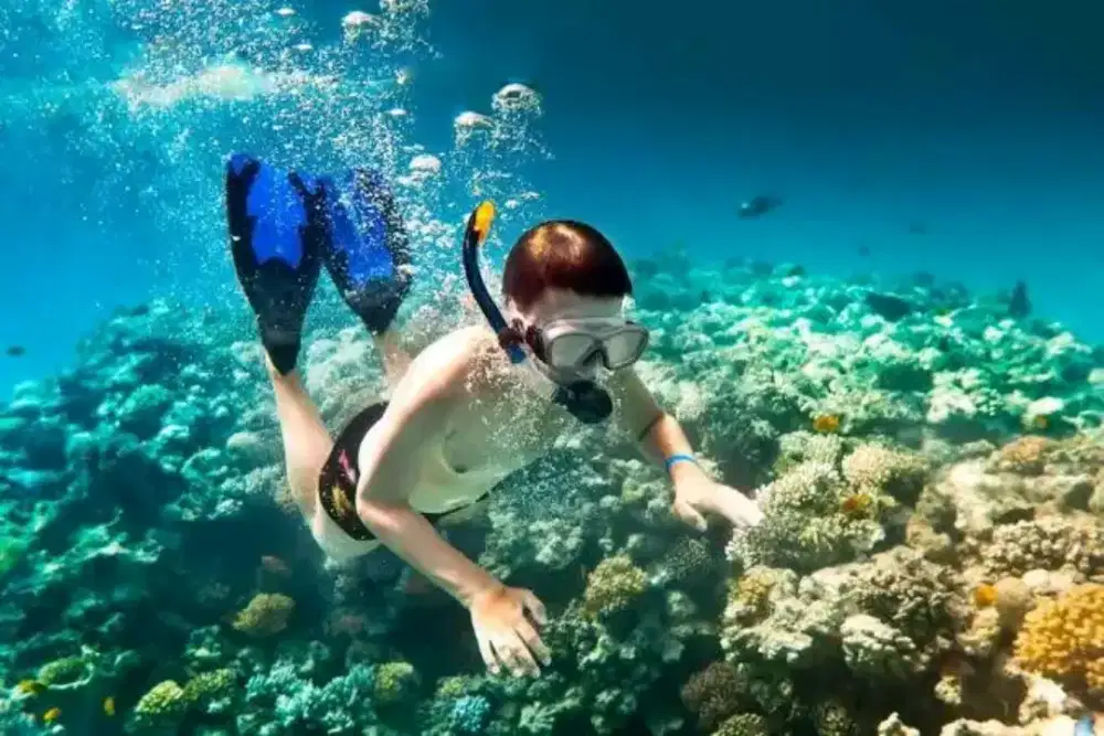 LOKER GURU RENANG TARI dan Art villa BALI