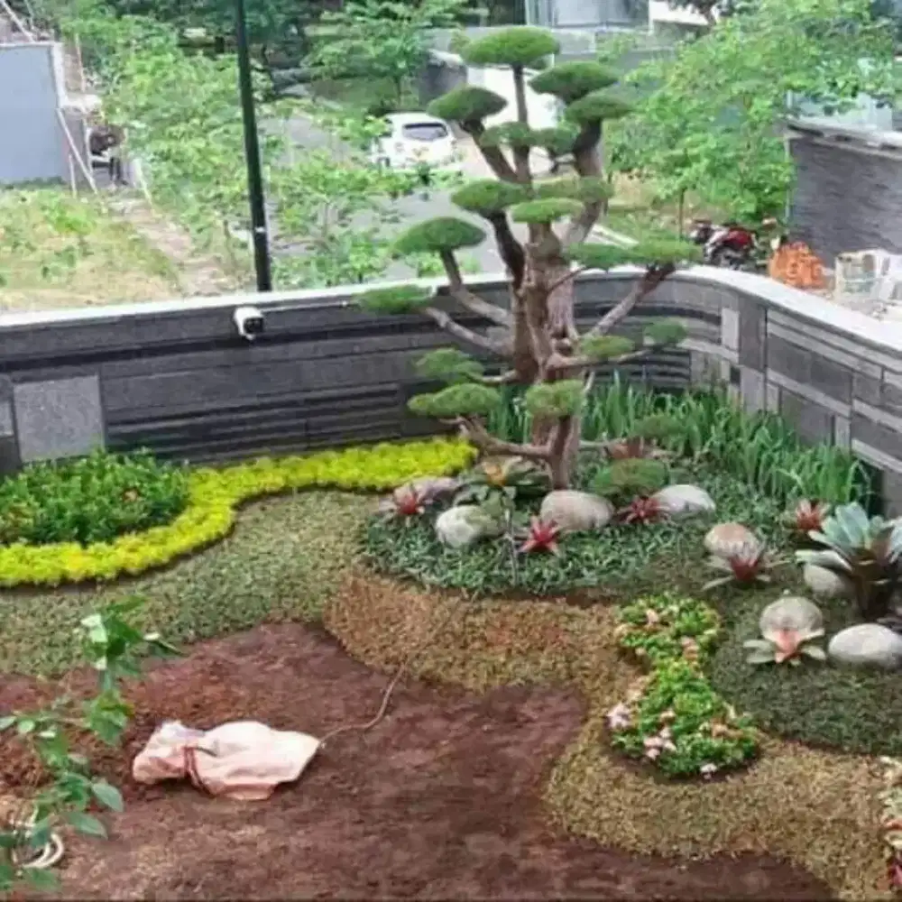 Tukang taman medan 25