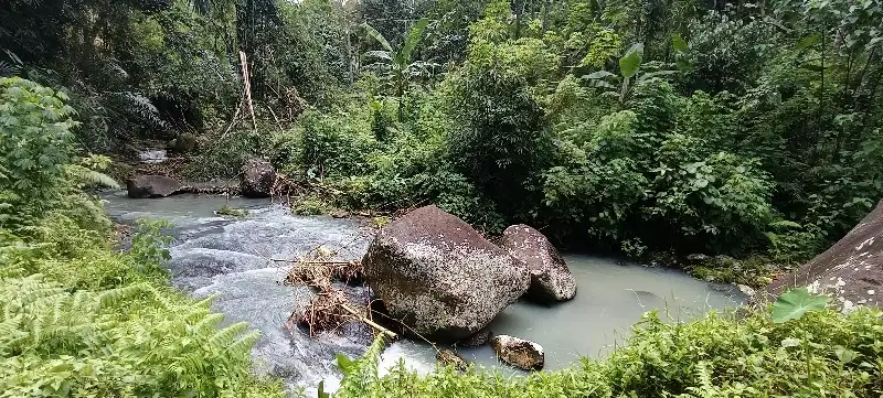 Di jual tanah kebun produktip