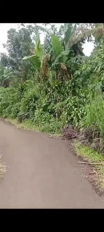 jual tanah di Rumpin
