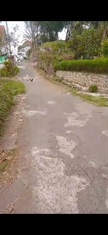 tanah siap bangun di trawas