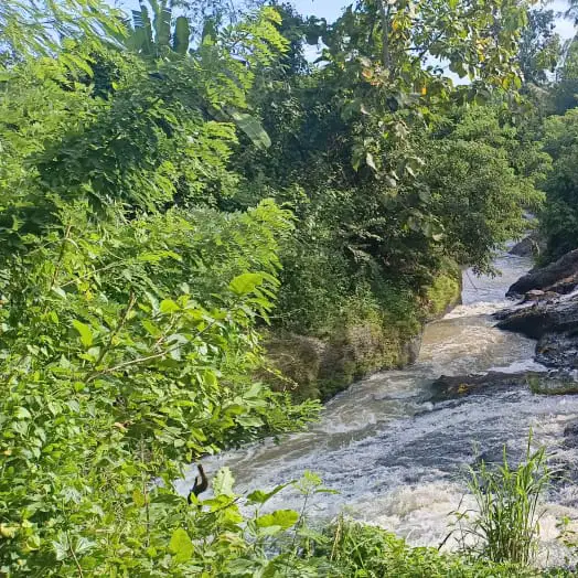 tanah sawah los sungai indah di tabanan bali