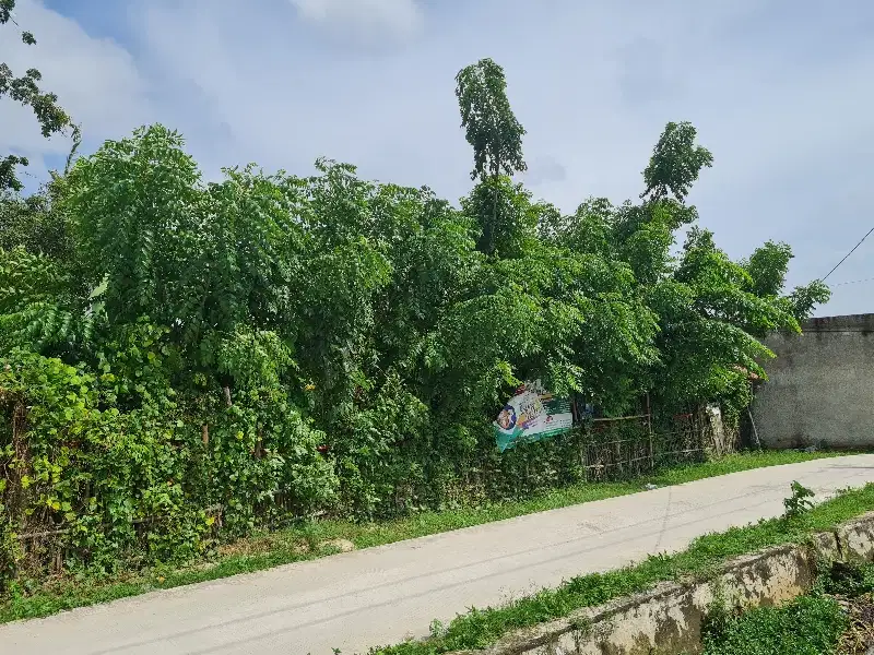 Tanah Darat Murah Cocok Buat Investasi