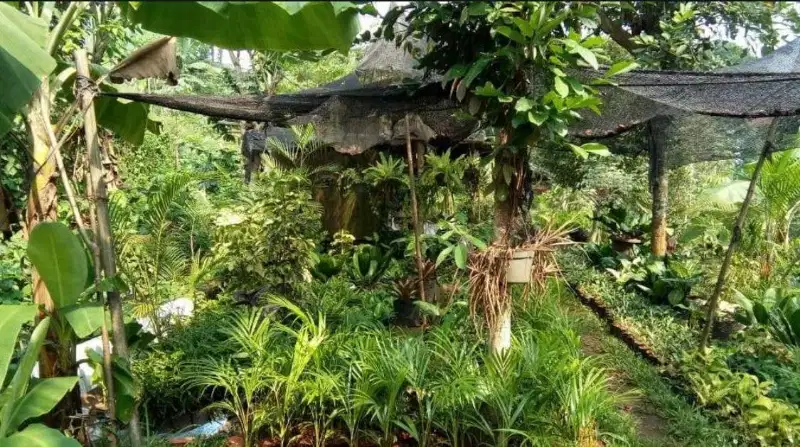 Dijual Tanah Di Bedahan Sawangan Depok