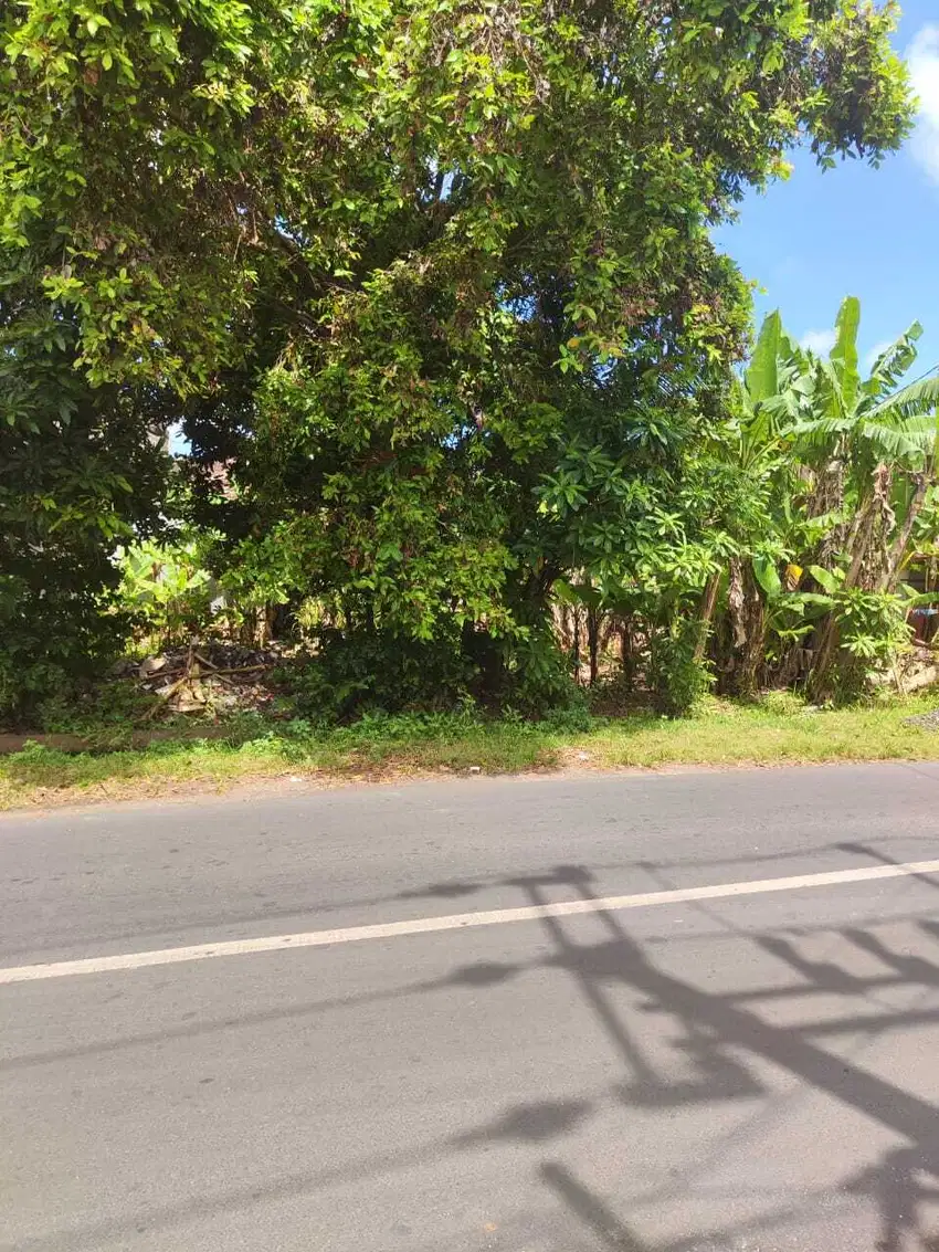 Tanah ungasan kuta selatan Balicliff