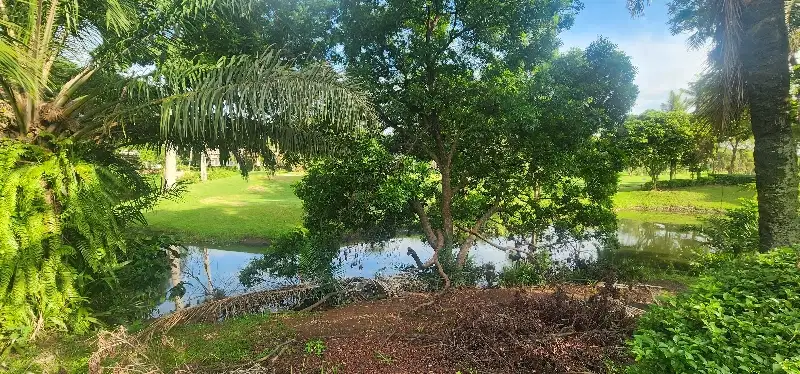 TERMURAH  Jual Tanah Kavling Golf Suvarna Sutera