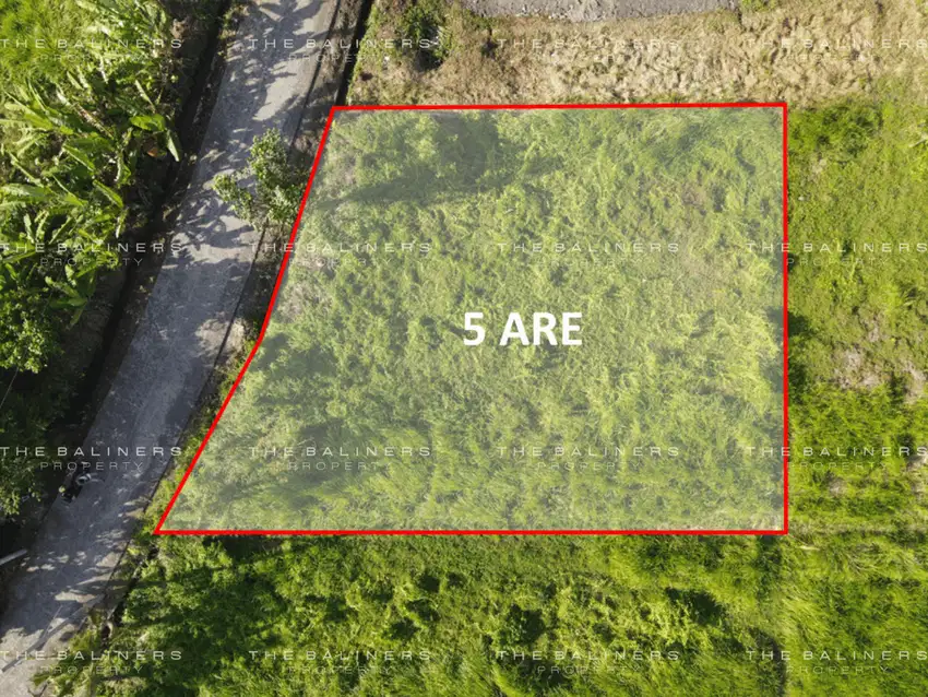 COMMERCIAL LAND OPPORTUNITY IN KEDUNGU, TABANAN