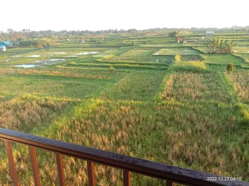 Dijual Rumah di Cepaka, Tabanan – Nyaman & Asri