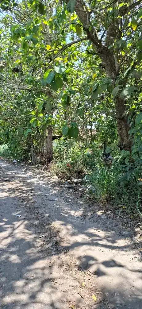 Tanah di jual 900 M2 SHM