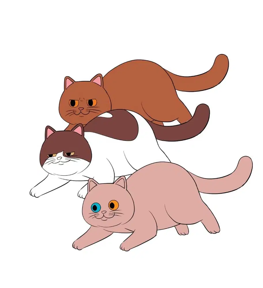 Pengurus Kucing Cattery (Menginap)