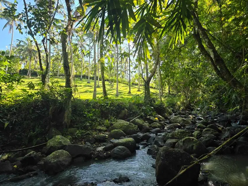 Dijual tanah yellow zona los sungai dan view jungle di bali