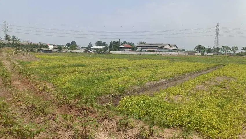 Jual Lahan Tanah Industri di Kawasan Pergudangan 19, Tangerang