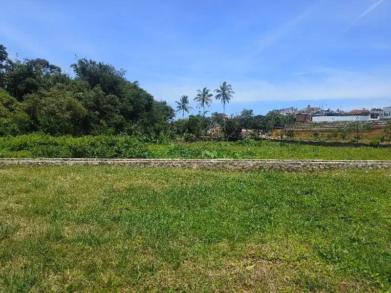 Tanah Siap Bangun Luas 196m2 cocok untuk rumah hunian di bogor