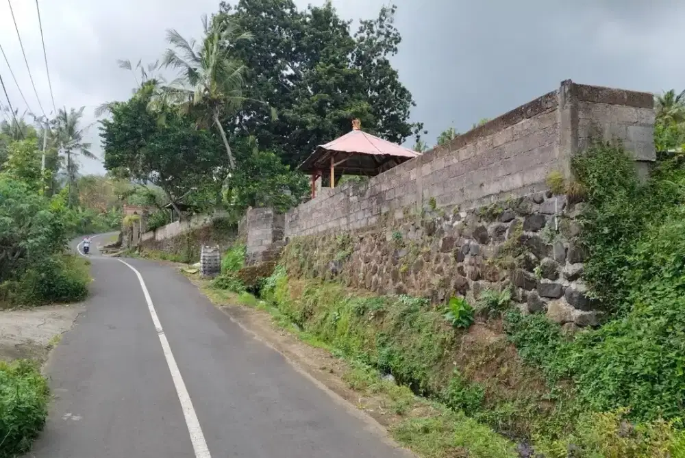 Tanah lokasi sejuk desa sambangan atas dekat krisna