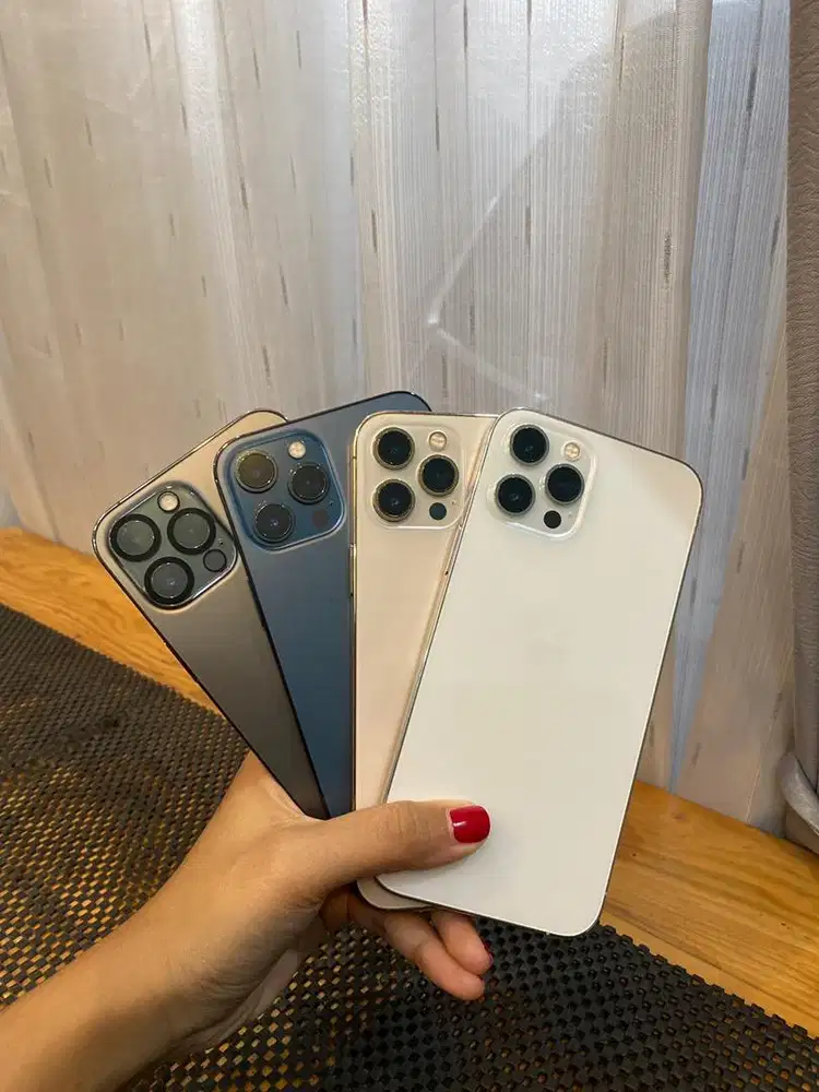 iPhone 12 Pro Max kapasitas 256GB