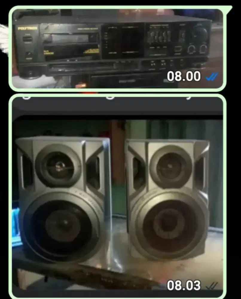 POLYTRON DAT 56+ speker