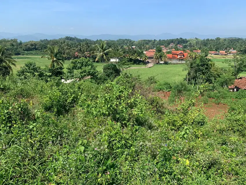 Dijual Tanah di Cibinong Hilir Cianjur Jawa Barat