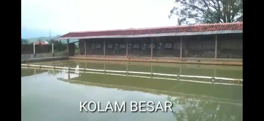 Dijual Kolam Pemancingan, di Muarasanding, Garut, Jabar
