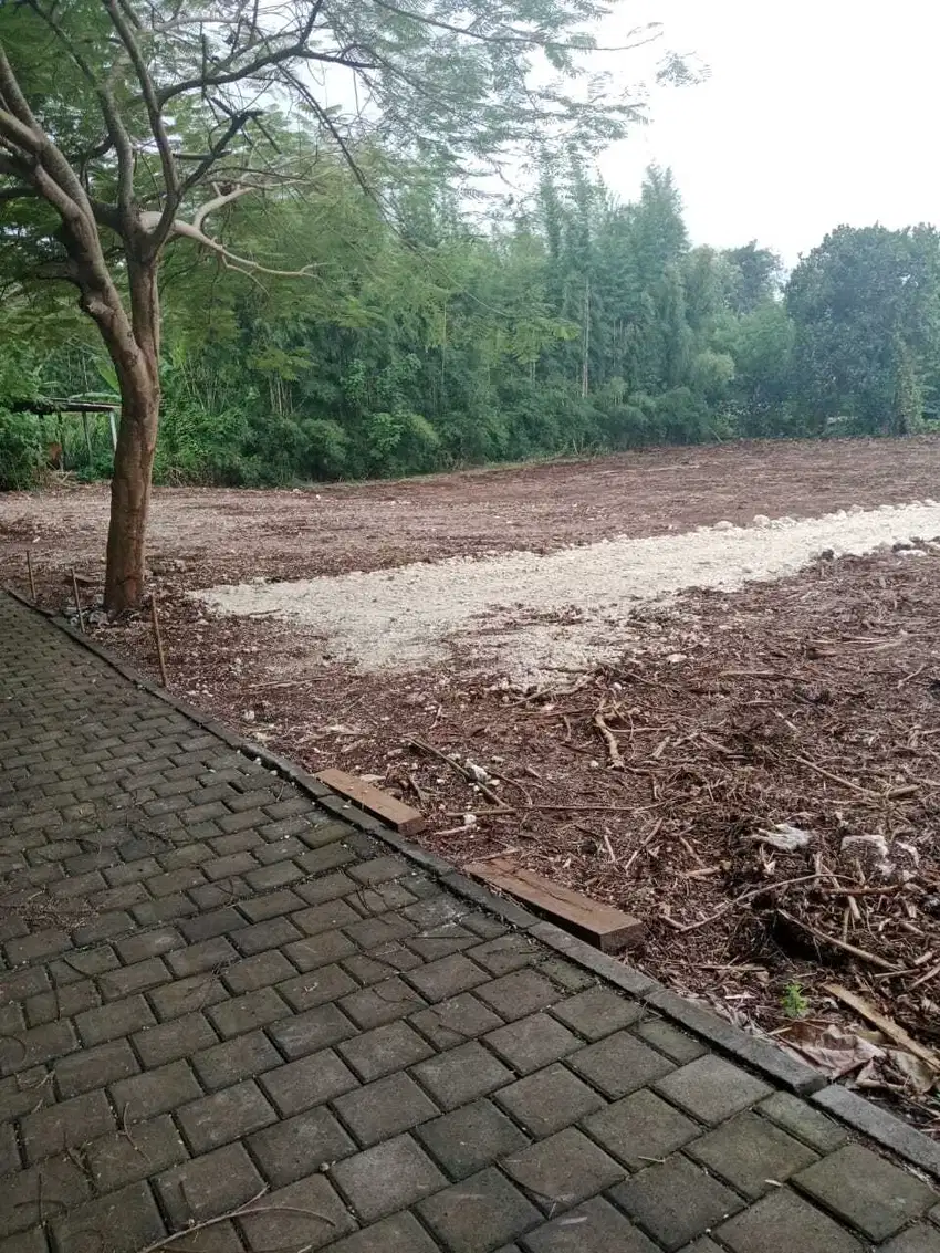 Tanah Kavling Luas Mulai 200m² Lokasi Jl Belimbing Sari Pecatu Invest