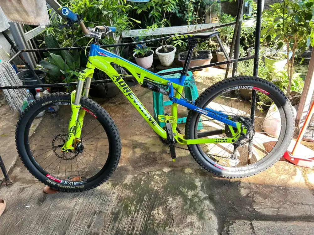 Sepeda Adrenaline Mtb