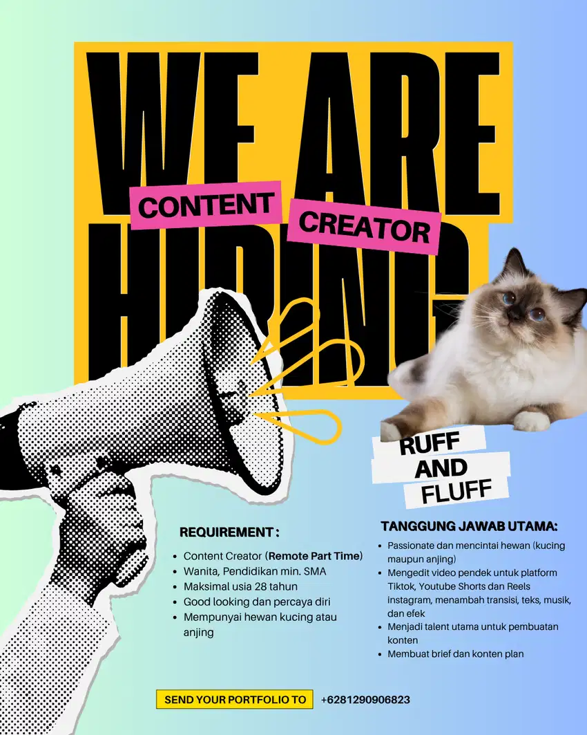Content Creator (Remote Part Time)