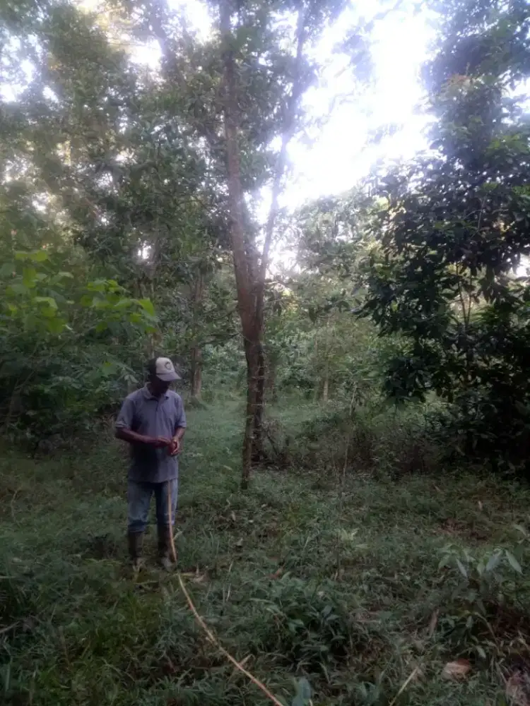 Di Jual Murah Tanah SHM Daerah Karawang