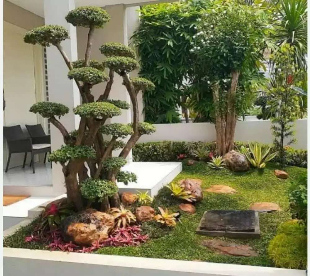 jasa pembuatan taman dan pohon bonsai