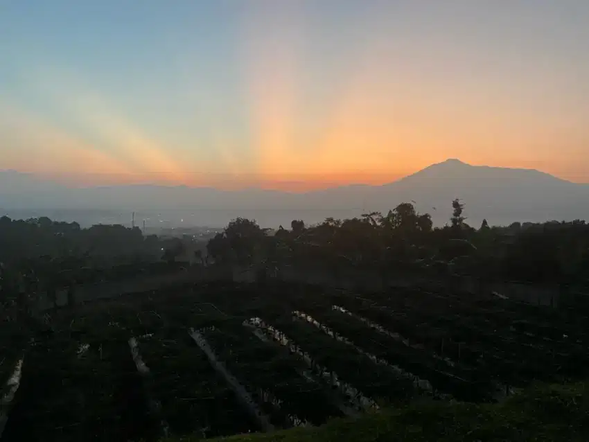DIJUAL Cepat tanah pribadi no tipu²