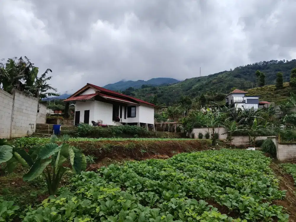 DIJUAL Tanah pribadi