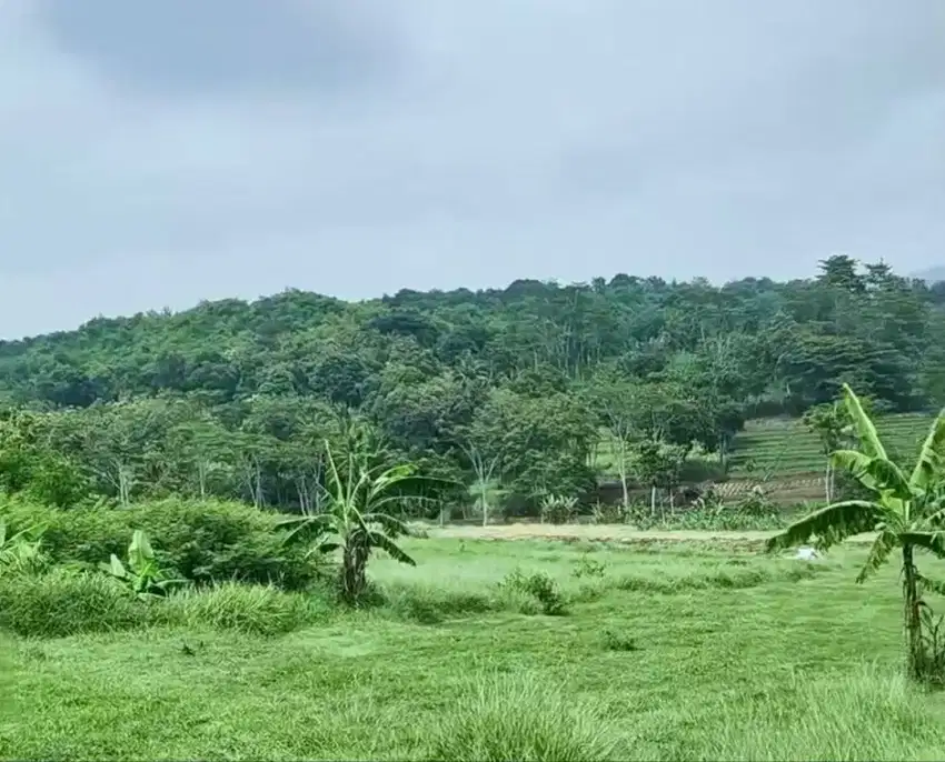 Tanah Industri Bisa Untuk Gudang Pabrik Murah di Garut