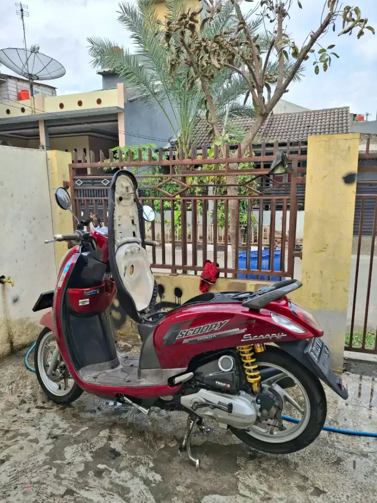 Scoopy 2016 standart