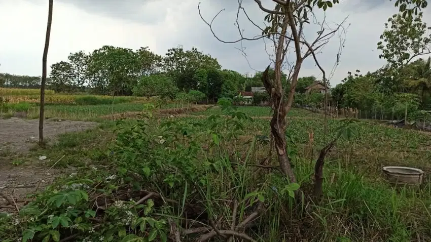 2.3jt/m TANAH INDUSTRI MURAHHH POLL JLN MAYJEN SUNGKONO GRESIK